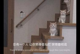 总有一个人 让你笑得最灿烂 哭得最彻底