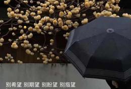 别希望 别期望 别盼望 别指望 怎么会有失望