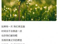 如果有一天我们再见面时间会不会倒退一点