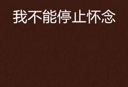 到如今年复一年 我不能停止怀念