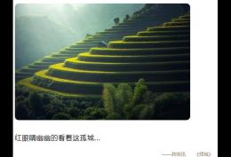 红眼睛幽幽的看着这孤城,如同苦笑挤出的高兴