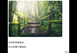 没有别条路能走你决定要不要陪我