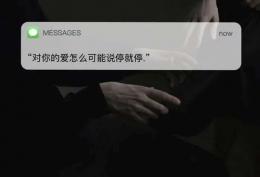 对你的爱怎么可能说停就停