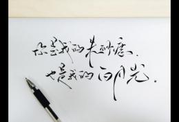 白月光与朱砂痣文字背景图