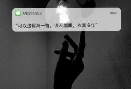 可叹这惊鸿一瞥,误入眉眼欢喜多年