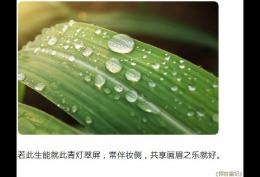 若此生能就此青灯翠屏，常伴妆侧，共享画眉之乐就好