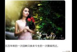 五百年前的一次回眸只换来今生的一次擦肩而过