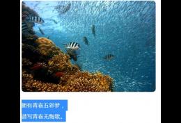 拥有青春五彩梦 谱写青春无悔歌