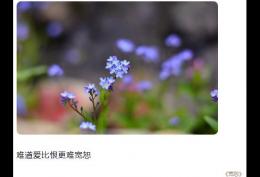 爱比恨更难宽恕