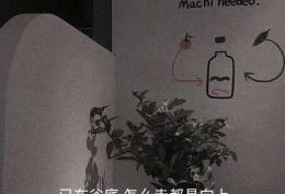已在谷底 怎么走都是向上 所以你怕什么