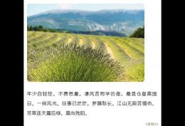 年少自轻狂 不费思量 凄风苦雨学彷徨