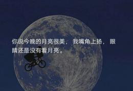 你说今晚的月亮很美 我嘴角上扬 眼睛还是没有看月亮