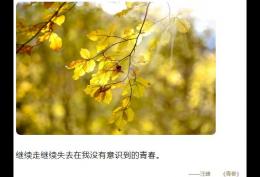 继续走继续失去,在我没有意识到的青春