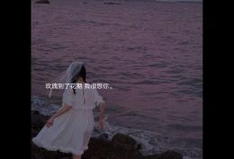 玫瑰到了花期 我很想你