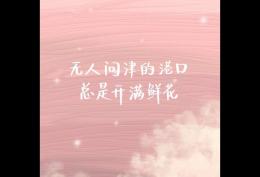 无人问津的港口 总是开满鲜花