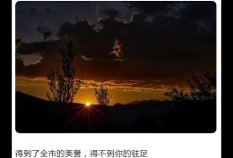 得到了全市的美誉 得不到你的驻足