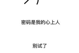 密码是我心上人的生日，不是你别试了壁纸