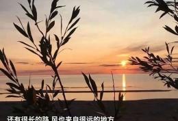 还有很长的路 风也来自很远的地方