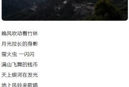 晚风吹动着竹林,月光拉长了身影