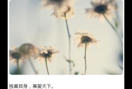 独善其身兼爱天下