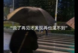 说了再见才发现再也见不到