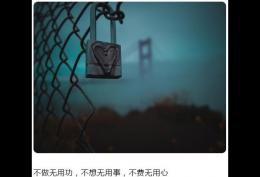 不做无用功,不想无用事,不费无用心