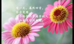 最新早安正能量激励语句，奋斗正能量励志的句子