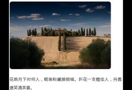花前月下对何人 略施粉黛顾倾城 折花一支赠佳人 丹唇逐笑清芙蓉