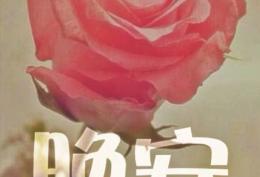 晚安配图越想随心随性，越容易画地为牢