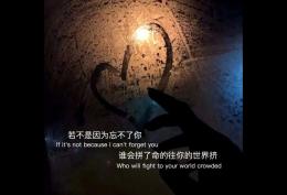 若是因为忘不了你 谁会拼了命的往你的世界挤