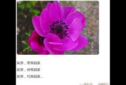 吴邪带我回家待我回家代我回家