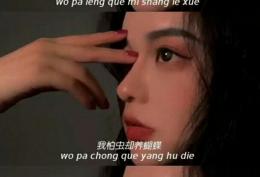 我怕冷却迷上了雪，怕黑却迷上了夜，怕痛却爱着你