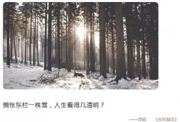 惆怅东栏一株雪,人生看得几清明