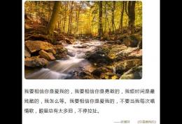 我要相信你是爱我的我要相信你是勇敢的