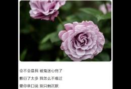 会不会是我 被鬼迷心窍了 敷衍了太多 我怎么不难过 要你亲口说 别只剩沉默