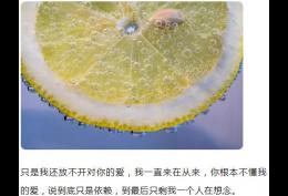 只是我还放不开对你的依赖只是我还不能够释怀