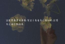 这世界最累的事情 莫过于看着自己的心碎 还得自己动手粘起来