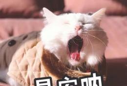 情侣早安超甜表情包