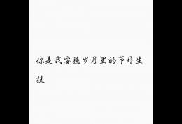 你是我安稳岁月里的节外生枝
