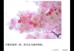 廿载包胥承一诺,盼乌头马角终相救