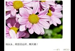 待从头收拾旧山河朝天阙