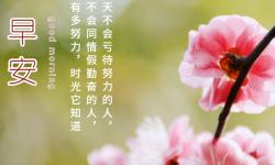 早安心语2021最新，发朋友圈必点赞的句子！
