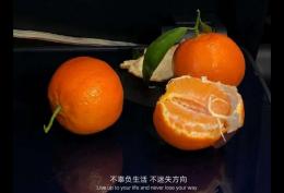 不辜负生活 不迷失方向