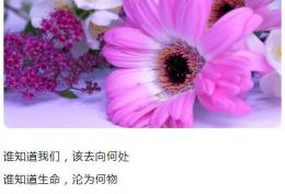 谁知道我们,该去向何处