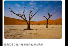 让我们忘了那片海只要你过得比我好