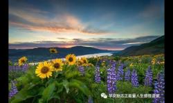 奋斗早安正能量励志语 高情商的人说早安语句暖