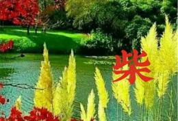2022适合一辈子头像  好运相伴的头像
