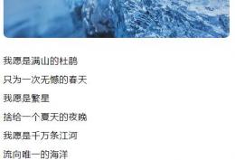 我愿是满山的杜鹃 只为一次无憾的春天