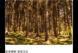 渐渐模糊 渐渐淡忘