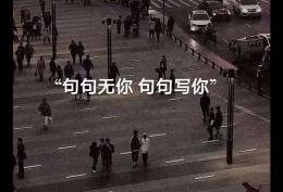 句句无你却句句写你